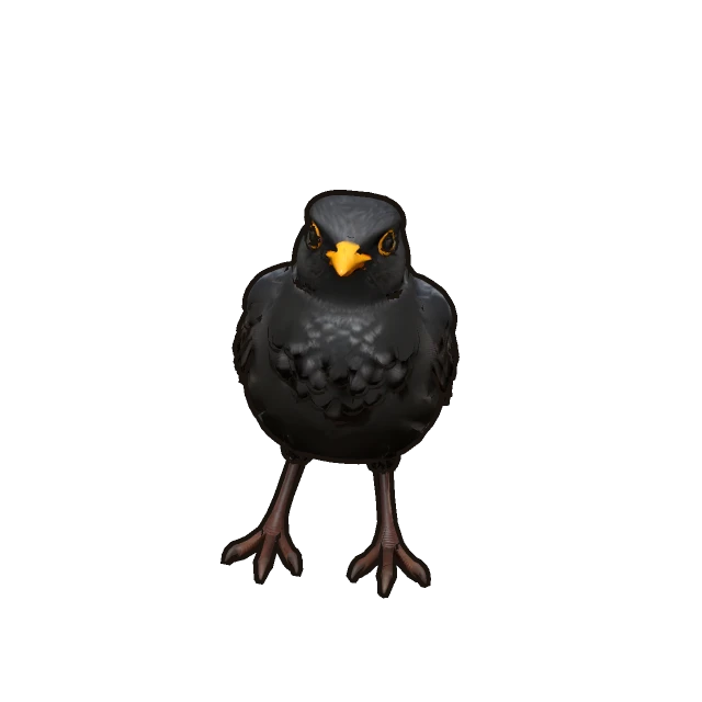 Common Blackbird perched, the 3D model from the game
