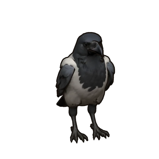 Hooded Crow perched, the 3D model from the game