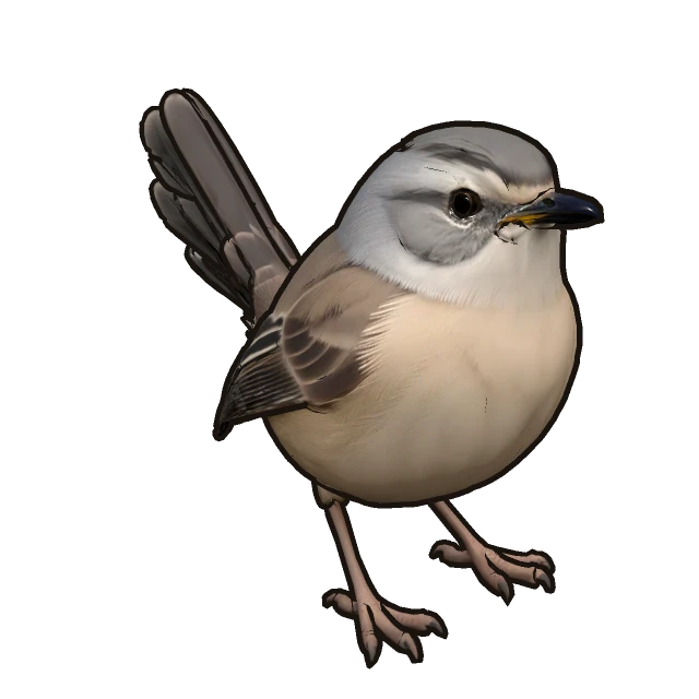 Graceful Prinia perched, the 3D model from the game